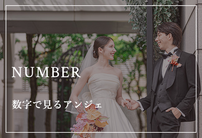 数字で見るアンジェ