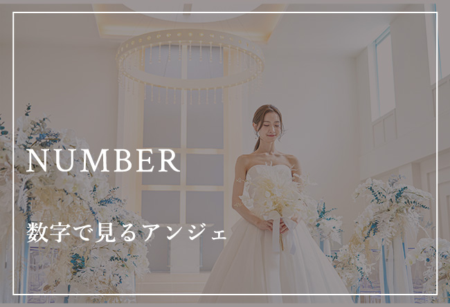 数字で見るアンジェ